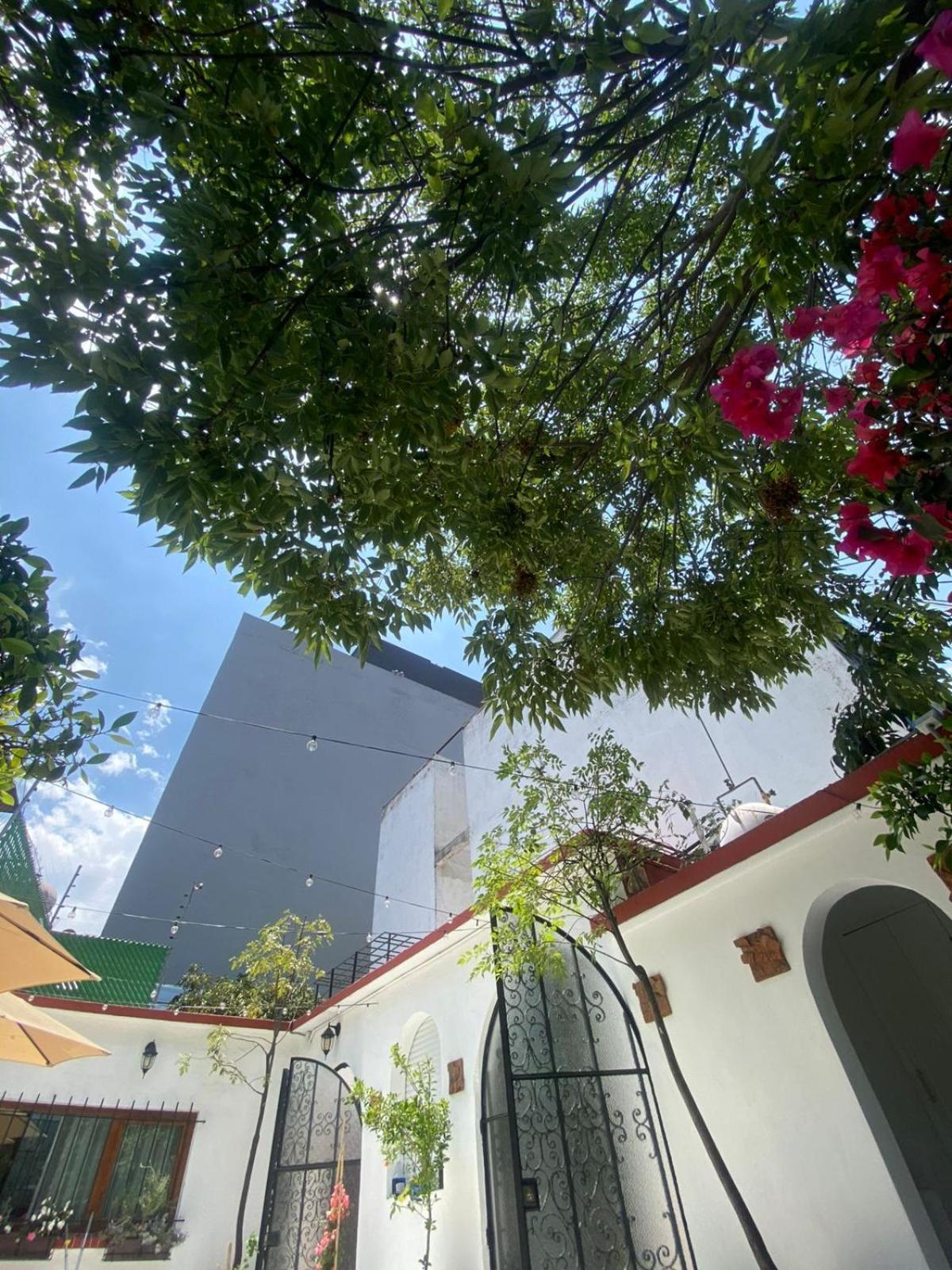 Nokal Exclusive Stay Ciudad de México Exterior foto
