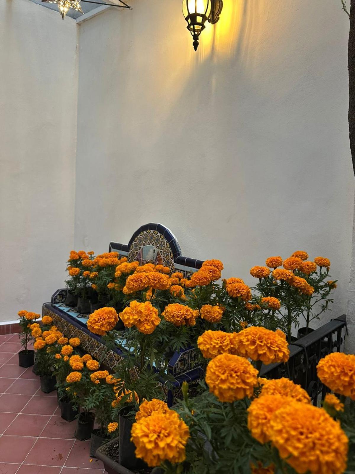 Nokal Exclusive Stay Ciudad de México Exterior foto